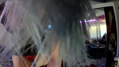 Snapshot of dizzythedoggo chatting on December 10, 2024, 3:55 pm The Cottoncandy Coyote online show from December 10, 2024, 3:55 pm