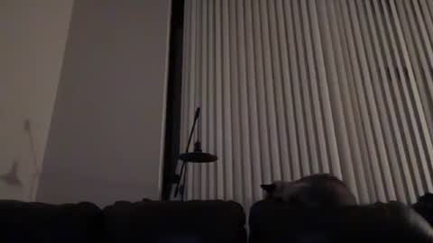 DJ Chaterbate online show from January 14, 2026, 4:07 am