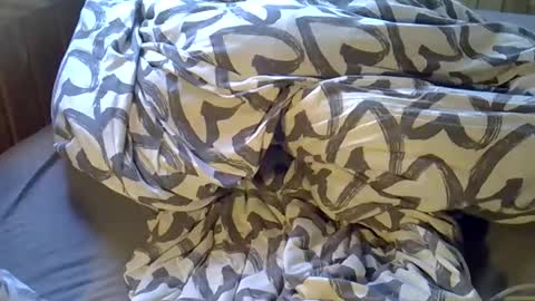 DKdad online show from April 6, 2026, 2:07 pm