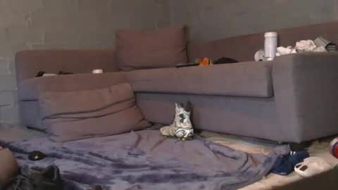 Snapshot of dljockbro chatting on March 7, 2026, 5:21 pm dljockbro online show from March 7, 2026, 5:21 pm