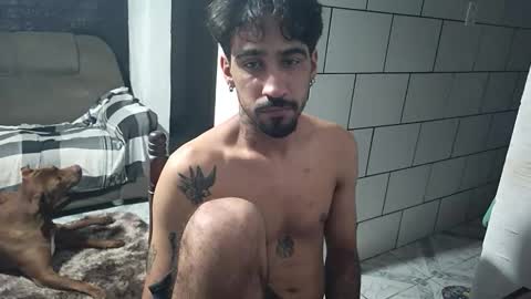 Snapshot of dmacedo96 chatting on January 12, 2026, 2:17 am AmigodotadoZL online show from January 12, 2026, 2:17 am