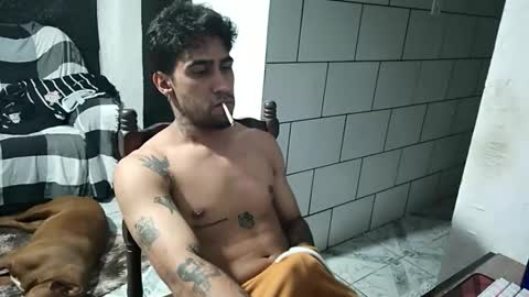 Snapshot of dmacedo96 chatting on February 28, 2026, 10:11 pm AmigodotadoZL online show from February 28, 2026, 10:11 pm