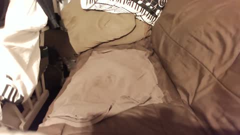 do4you2 online show from January 18, 2025, 2:23 pm