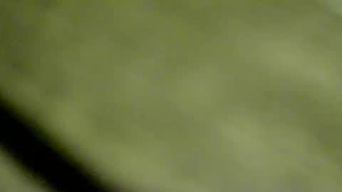 Snapshot of doby2020 chatting on January 15, 2026, 10:46 pm Doby online show from January 15, 2026, 10:46 pm