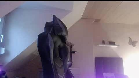 doggy2629 online show from January 6, 2026, 3:38 pm