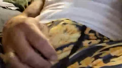 doingthisagain78177277 online show from January 18, 2026, 10:41 am