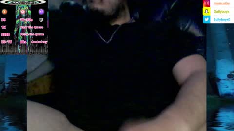 Snapshot of domanarchist chatting on January 29, 2025, 8:40 am Sullyboyx online show from January 29, 2025, 8:40 am