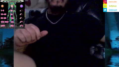 Snapshot of domanarchist chatting on February 3, 2025, 8:13 am Sullyboyx online show from February 3, 2025, 8:13 am