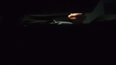 domcook147 online show from January 4, 2025, 12:05 am