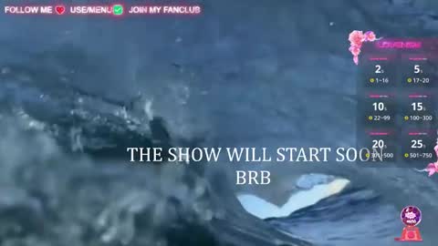 Snapshot of domina_deivis chatting on March 6, 2025, 9:58 am I WILL BE BACK ON WEDNESDAY DECEMBER 4 0100AM COLOMBIA TIME online show from March 6, 2025, 9:58 am