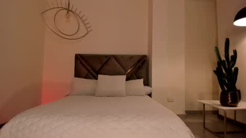 Dominique online show from November 29, 2025, 11:41 pm