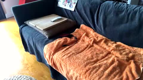 Alfredo online show from December 3, 2024, 10:50 am