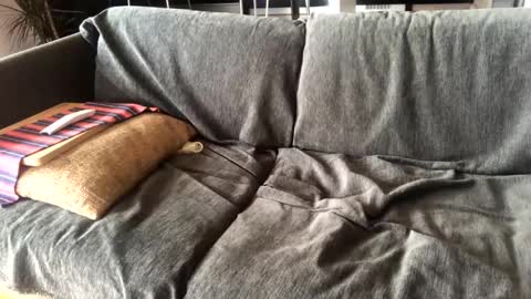 Alfredo online show from January 14, 2025, 11:10 am