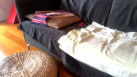 Alfredo online show from January 15, 2025, 9:02 am