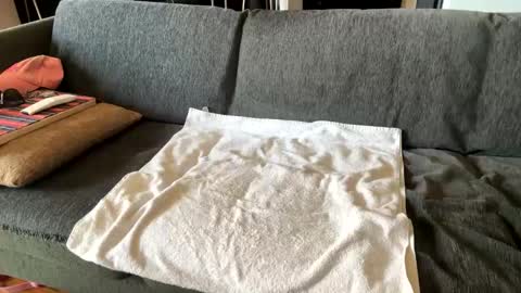 Alfredo online show from September 16, 2025, 10:27 am