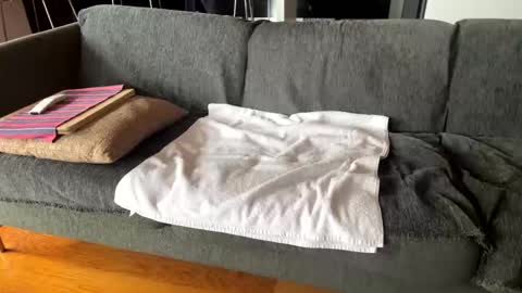 Alfredo online show from October 7, 2025, 10:12 am