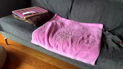 Alfredo online show from February 13, 2026, 10:55 am