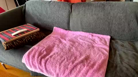 Alfredo online show from April 6, 2026, 9:21 am