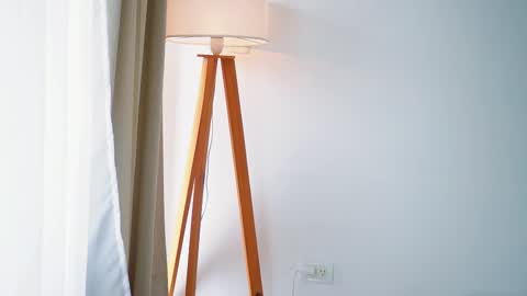 Snapshot of donnna19 chatting on January 13, 2026, 11:37 am Donatella online show from January 13, 2026, 11:37 am