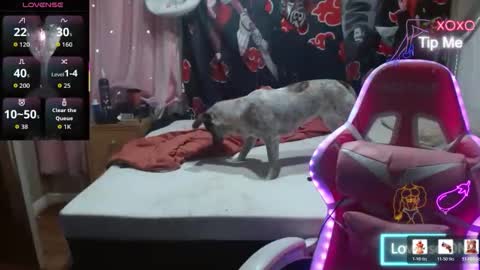 Angelic Angel Donny online show from December 21, 2025, 12:07 am