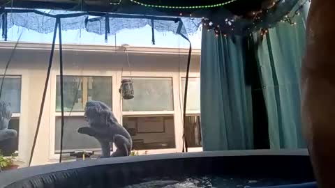 Snapshot of doobie1717 chatting on September 28, 2025, 12:43 pm doobie1717 online show from September 28, 2025, 12:43 pm