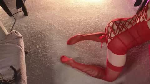 Snapshot of dorothy_meyer chatting on November 20, 2025, 4:01 am Dorothy Next stream on Monday at 3am-9am online show from November 20, 2025, 4:01 am