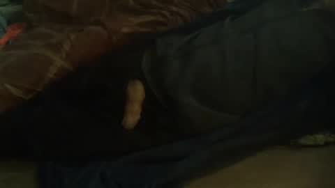 Hello  welcome to Slutsville  I am the Naked Chef  really  but you may call me Peter online show from February 11, 2025, 10:04 am