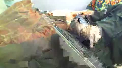 Hello  welcome to Slutsville  I am the Naked Chef  really  but you may call me Peter online show from April 18, 2026, 12:20 pm