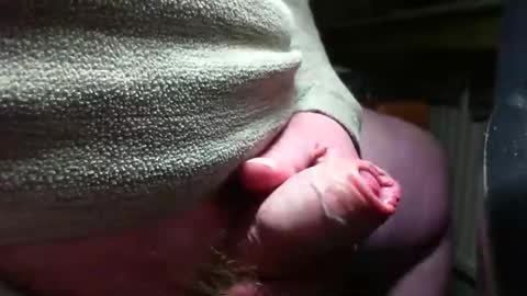 Snapshot of doscard chatting on December 14, 2024, 11:34 pm doscard online show from December 14, 2024, 11:34 pm