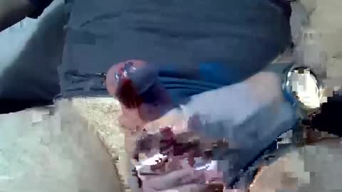 dosser8 online show from January 8, 2025, 7:24 pm