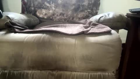 Snapshot of dotcom0063 chatting on November 15, 2025, 6:26 pm dotcom0062 online show from November 15, 2025, 6:26 pm