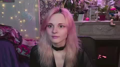 DiBi online show from July 2, 2026, 3:56 am