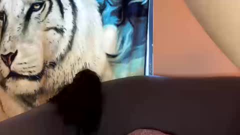 dove_love22 online show from October 17, 2025, 9:06 pm