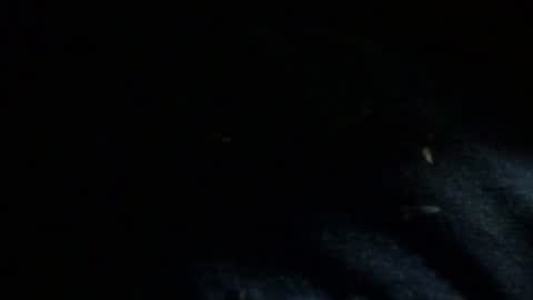 Dreadedted online show from November 24, 2025, 8:14 am