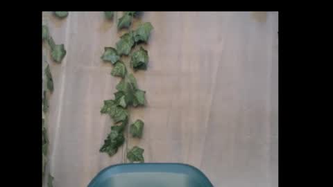 linda online show from October 18, 2025, 9:59 pm