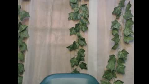 linda online show from November 16, 2025, 12:55 pm