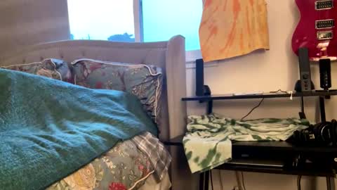 Snapshot of driving_perfectly chatting on March 4, 2026, 1:55 am driving_perfectly online show from March 4, 2026, 1:55 am