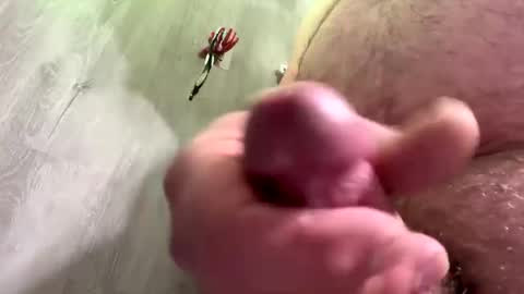 droppingloads82 online show from December 30, 2024, 4:53 am