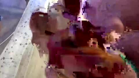 droppingloads82 online show from February 1, 2025, 7:15 am