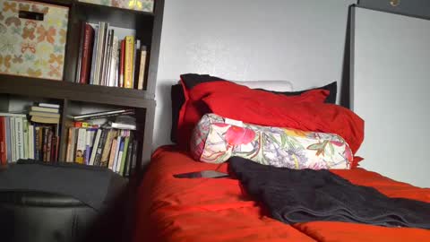 Snapshot of dsexordium chatting on February 5, 2025, 10:22 pm dsexordium online show from February 5, 2025, 10:22 pm