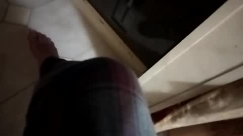 dthedog12 online show from November 6, 2025, 12:55 am