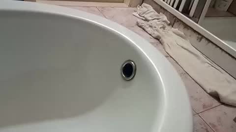 dthedog12 online show from November 9, 2025, 9:46 pm