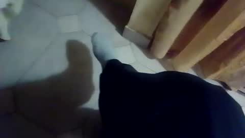 dthedog12 online show from December 13, 2025, 9:42 pm