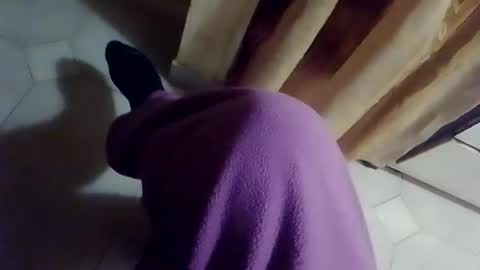 dthedog12 online show from February 10, 2026, 9:41 pm