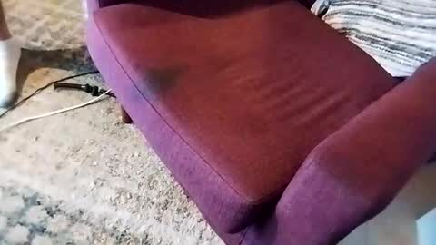 dtrain6969420 online show from March 7, 2025, 2:46 am