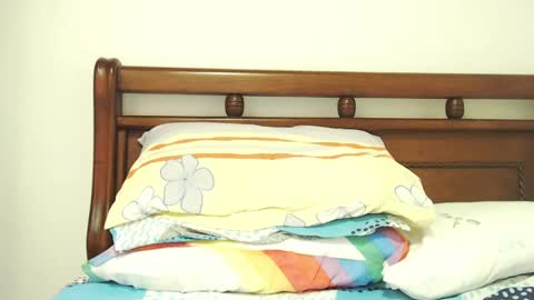 Snapshot of dualdoflow chatting on March 12, 2025, 2:01 pm S.K..maorisa98 VIDEOS SEXHARD PPBOY 55TASTEPROTEIN online show from March 12, 2025, 2:01 pm