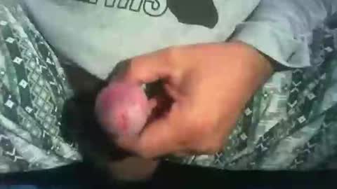 dude_13 online show from October 16, 2025, 4:13 am