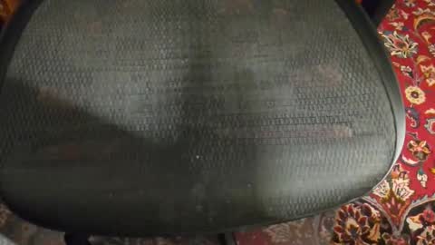 dudewipe online show from February 7, 2026, 7:34 am