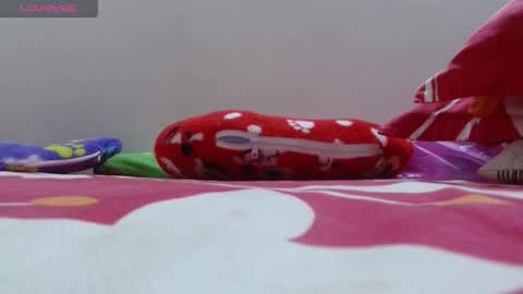 dulce online show from November 24, 2025, 2:17 pm