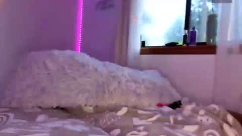 Dust Bunni online show from June 27, 2026, 11:04 am